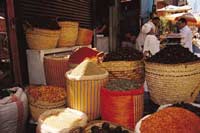  Basar Nilkreuzfahrten