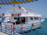 Pauschalurlaub Ägypten Makadi Bay